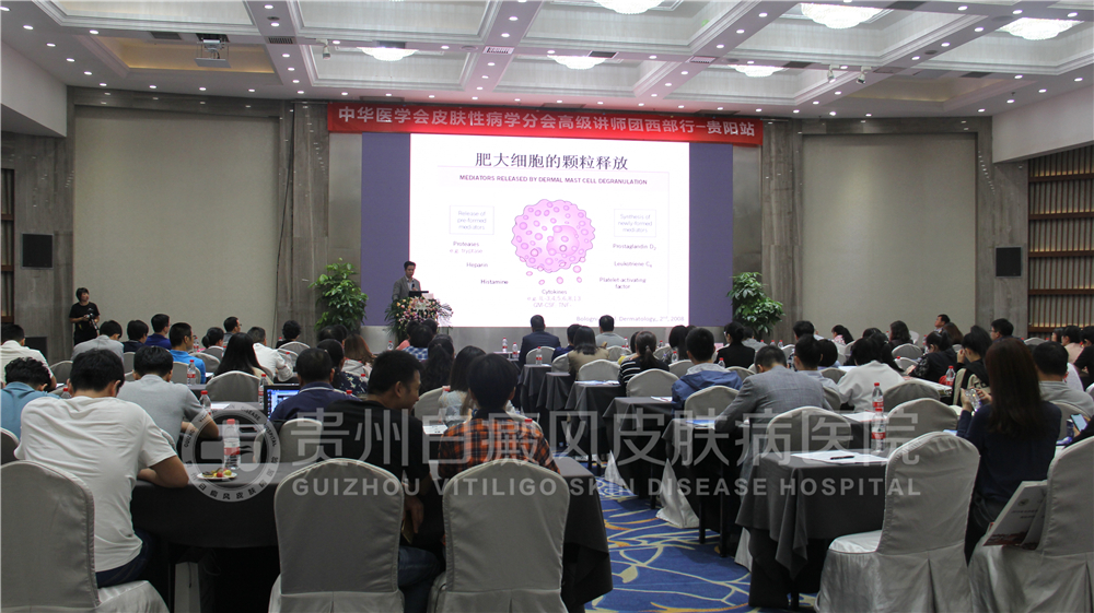 田凤主任列席2019年中华医学会皮肤性病学分会高级讲师团西部行(贵阳站)学术会议